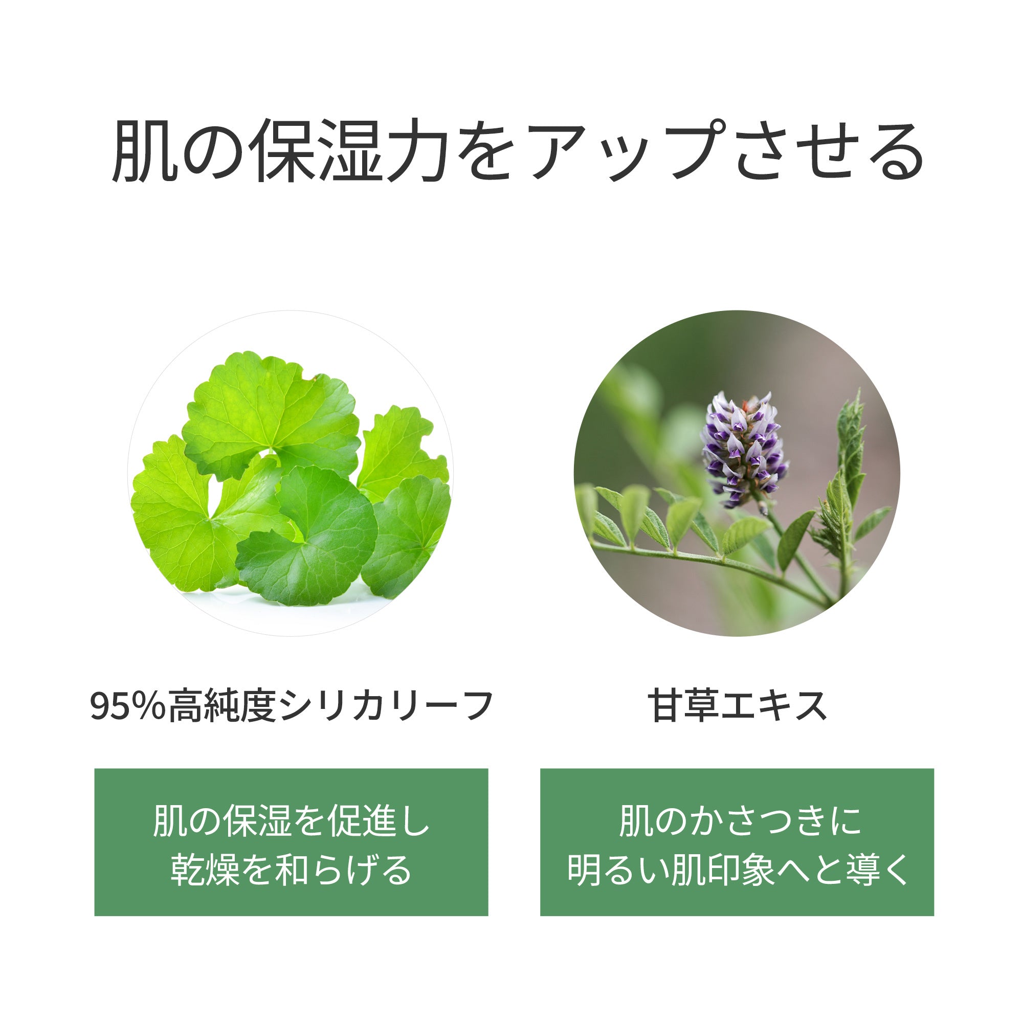 ダーマラボ シカ1% リコリス(甘草エキス)2%＜美容液＞