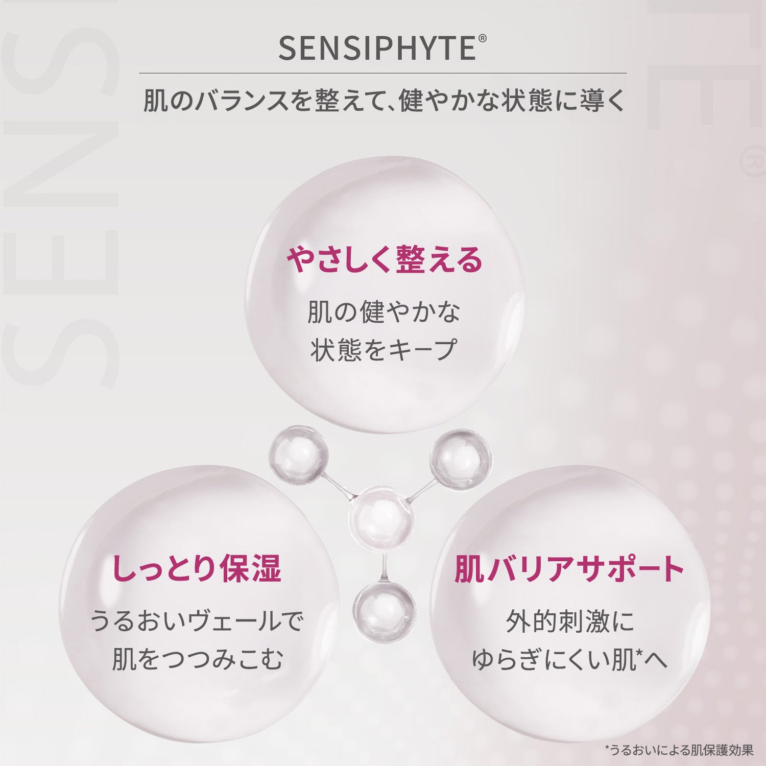 センシファイト エクストラ リペアリング モイスチャライザー 250ml